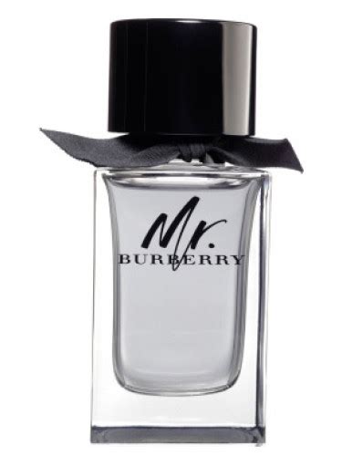 mr burberry for men|Burberry for men fragrantica.